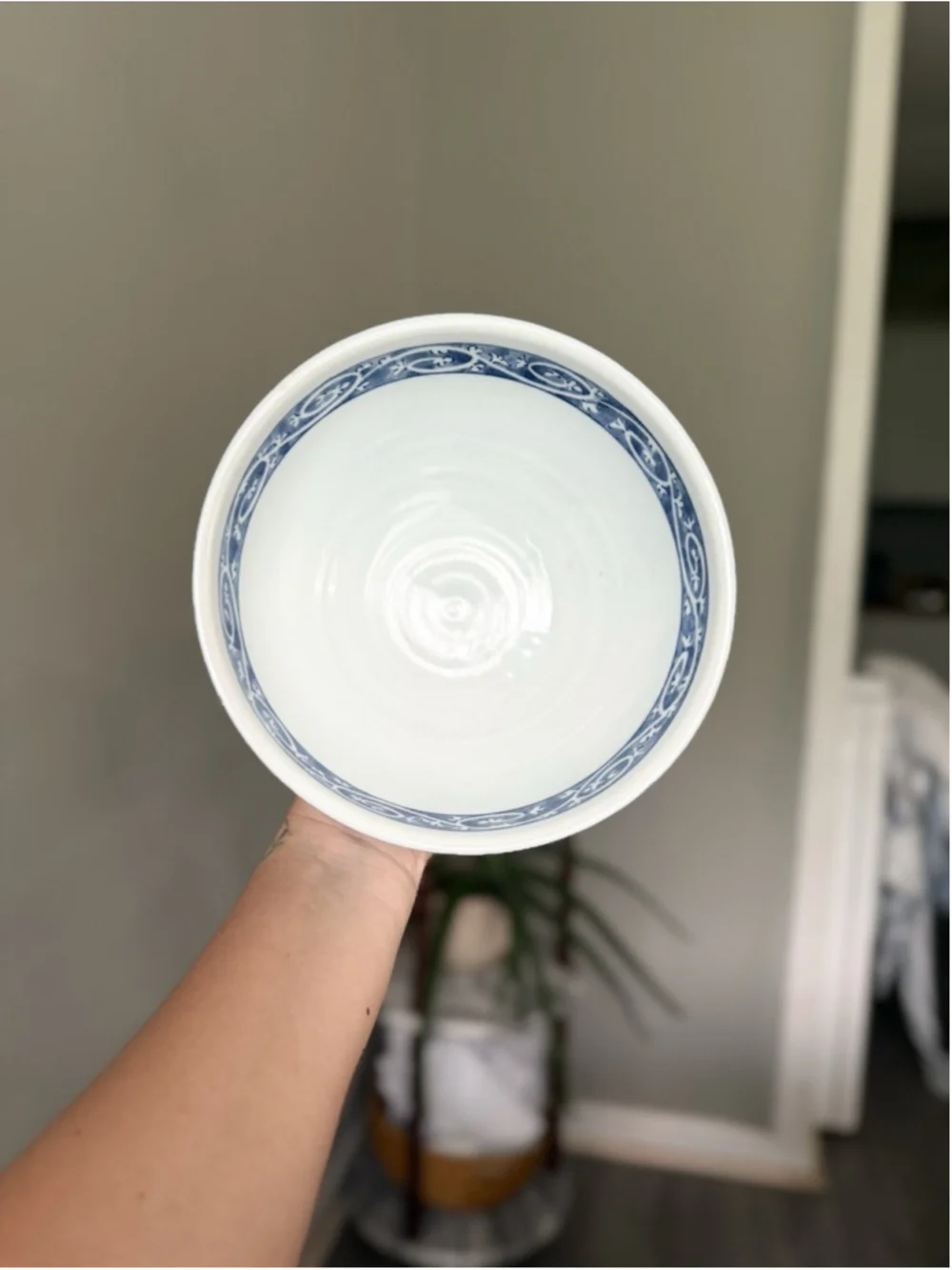 Mino ware Japan Ceramics Ramen Noodle Donburi BlueKarakusa Pattern made in Japan